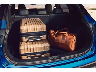 Nissan QASHQAI 1.3 Mild-Hybrid 140pk Premiere Edition